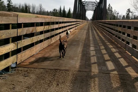 Big Falls Campground and Horse Camp