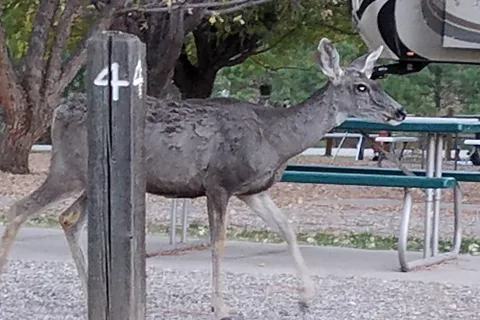 Little Creek RV Park