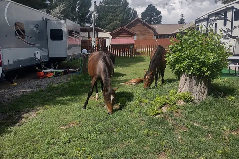 Little Creek RV Park
