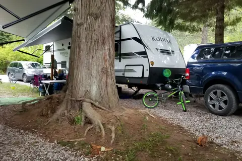 Alberts Landing Campground RV Park and Store