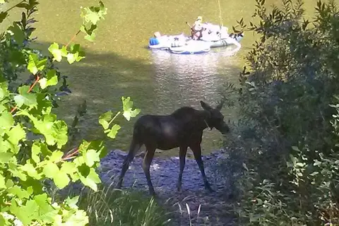 Alberts Landing Campground RV Park and Store