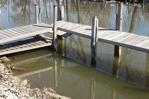 River Raisin Marina and Campground