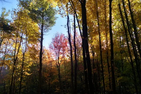 Beaver Pines Campground