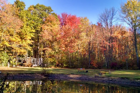 Beaver Pines Campground