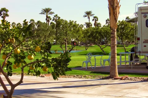 Outdoor Resort Palm Springs RV Resort and Country Club