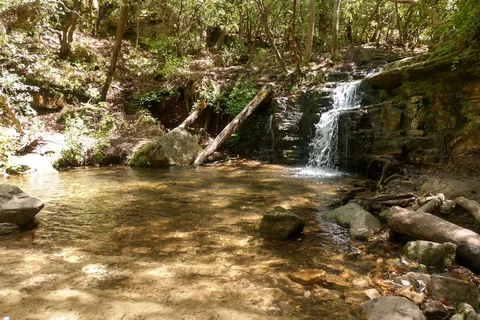FD Roosevelt State Park