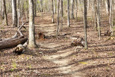 FD Roosevelt State Park