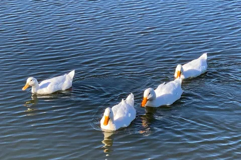 Stinson RV Park and Resort