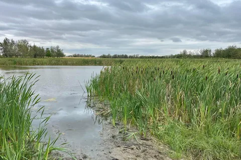 The Narrows Provincial Recreational Area