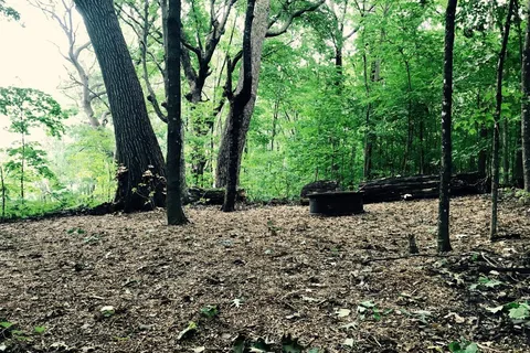 Wild Vines Campground