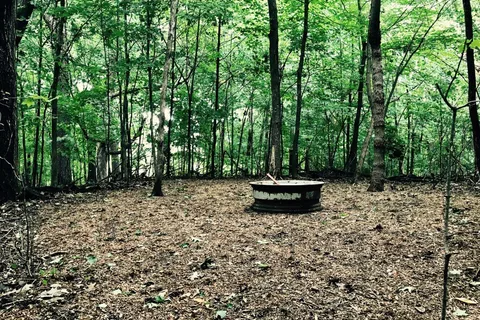 Wild Vines Campground