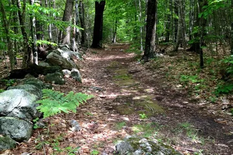 Lake Ivanhoe Inn and Campsites