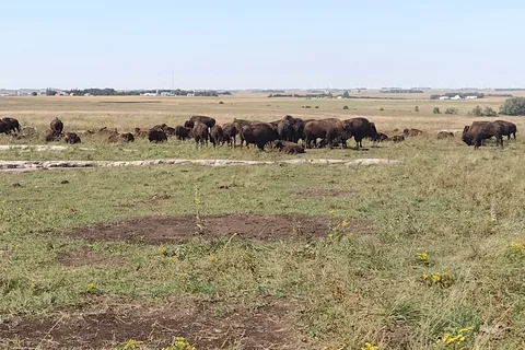 Blue Mounds State Park
