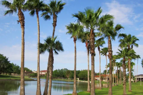 Palm Resaca Mobile Home Park, Inc.
