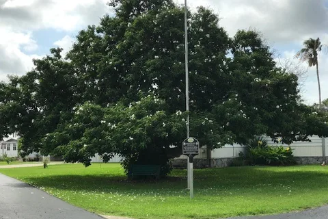 Palm Resaca Mobile Home Park, Inc.