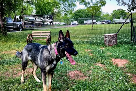 Lake Thurmond RV Park