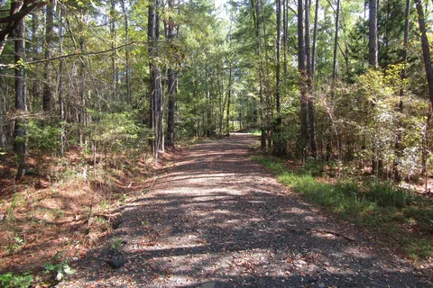 Lake Thurmond RV Park
