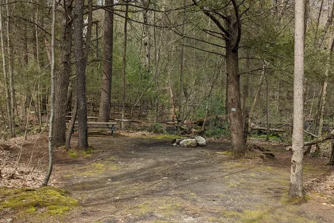 Pine Campgrounds
