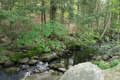 Pine Campgrounds