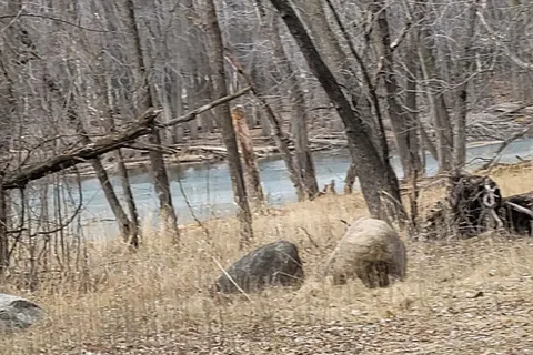 Equestrian - Minnesota Valley State Park