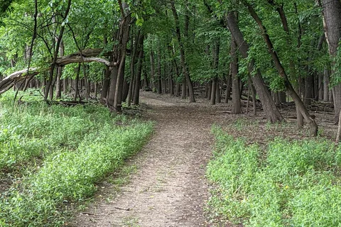 Equestrian - Minnesota Valley State Park