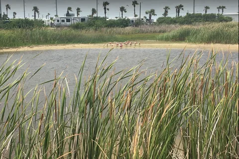 Pioneer RV Beach Resort