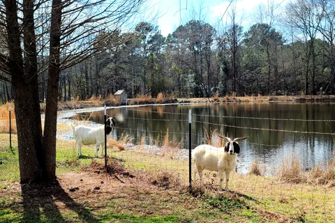 Marshall RV Park