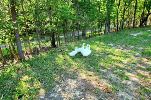 Marshall RV Park