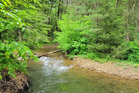 Hyner Run State Park