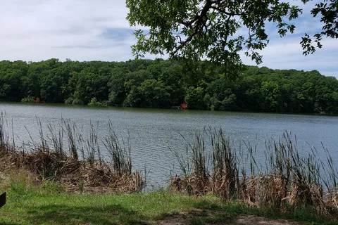 Twisted Oaks - Argyle Lake State Park