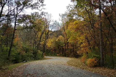 Twisted Oaks - Argyle Lake State Park