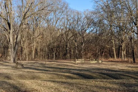 Twisted Oaks - Argyle Lake State Park