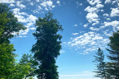 Glen Allan Park