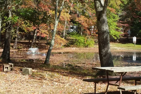 Mays Landing Campground