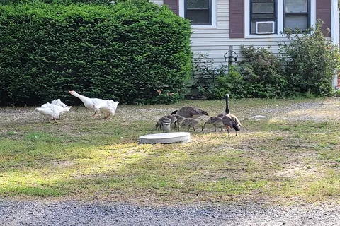 Mays Landing Campground