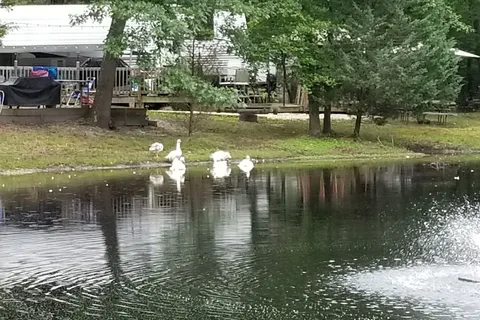 Mays Landing Campground
