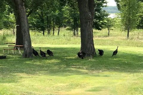 Shady Rest - Prairie Dog State Park