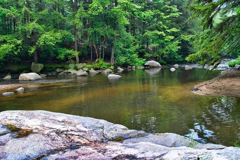 Crow's Nest Campground