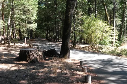 PG and E Eel River Area Trout Creek Campground