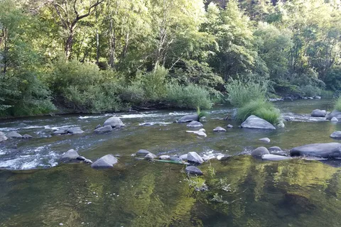 PG and E Eel River Area Trout Creek Campground