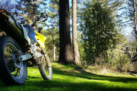 PG and E Eel River Area Trout Creek Campground