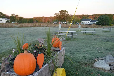 Pumpkin Patch RV Resort