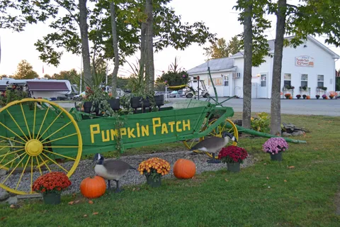 Pumpkin Patch RV Resort