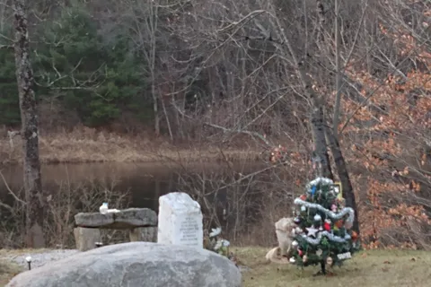 Lake George Wild Forest - Bear Slide - DEC