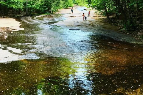 Lake George Wild Forest - Bear Slide - DEC