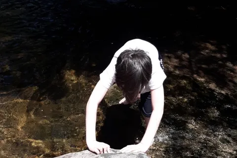Lake George Wild Forest - Bear Slide - DEC