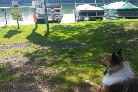 Wolfs Den Campground and Tavern