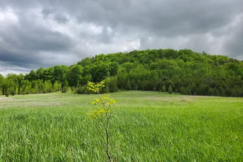 Mono Cliffs Provincial Park