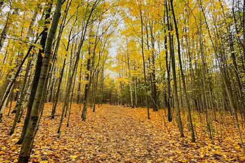 Mono Cliffs Provincial Park