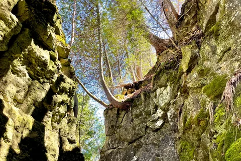 Mono Cliffs Provincial Park